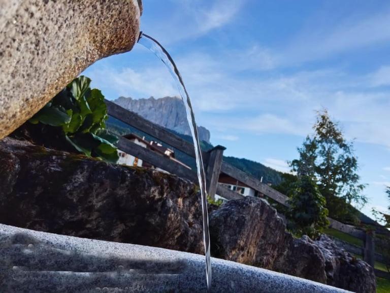Garni Hotel Iris Сельва-ді-Валь-Гардена Екстер'єр фото